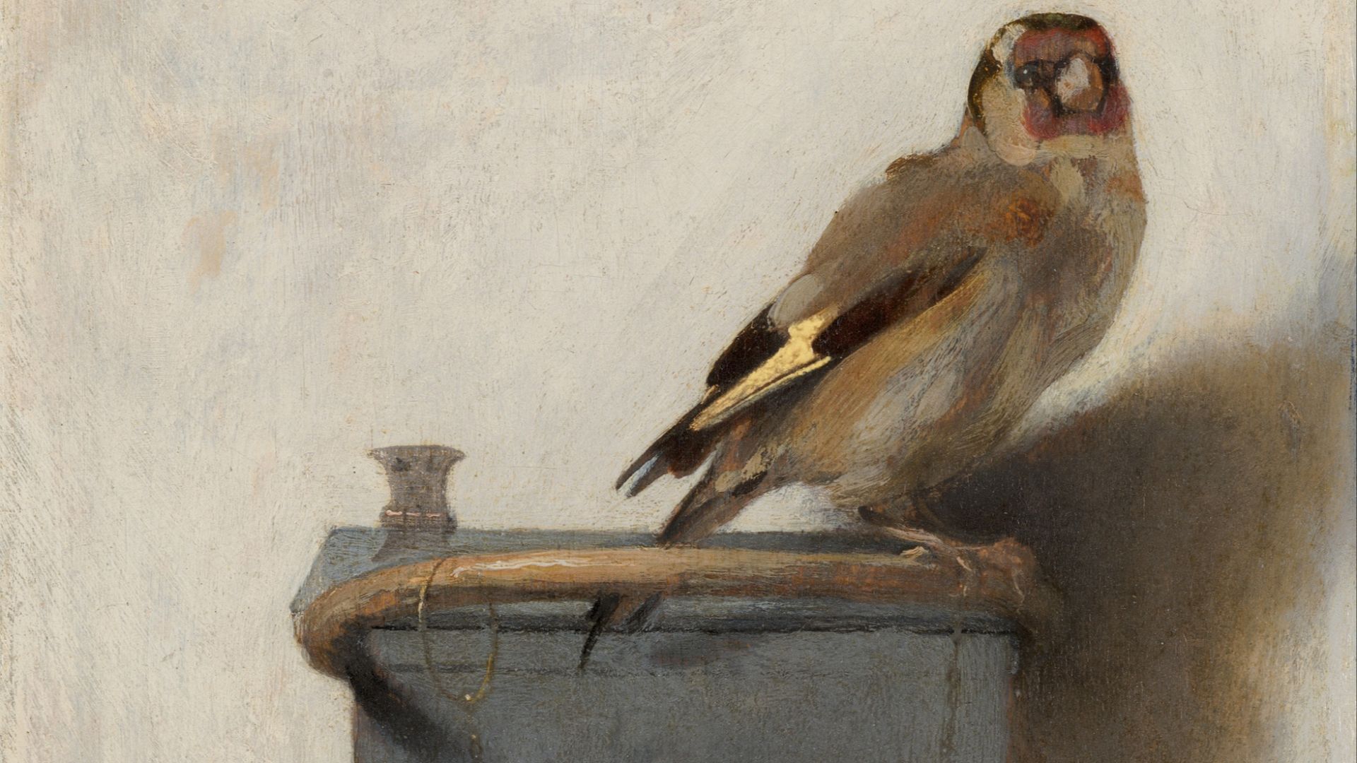 File:Fabritius-vink.jpg