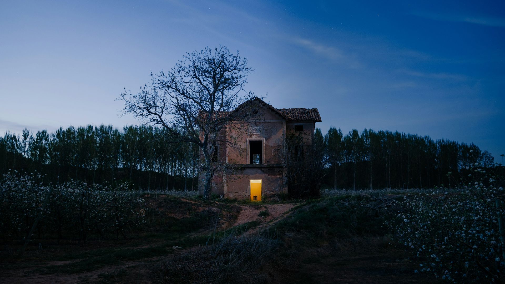 red brick house at dusk
