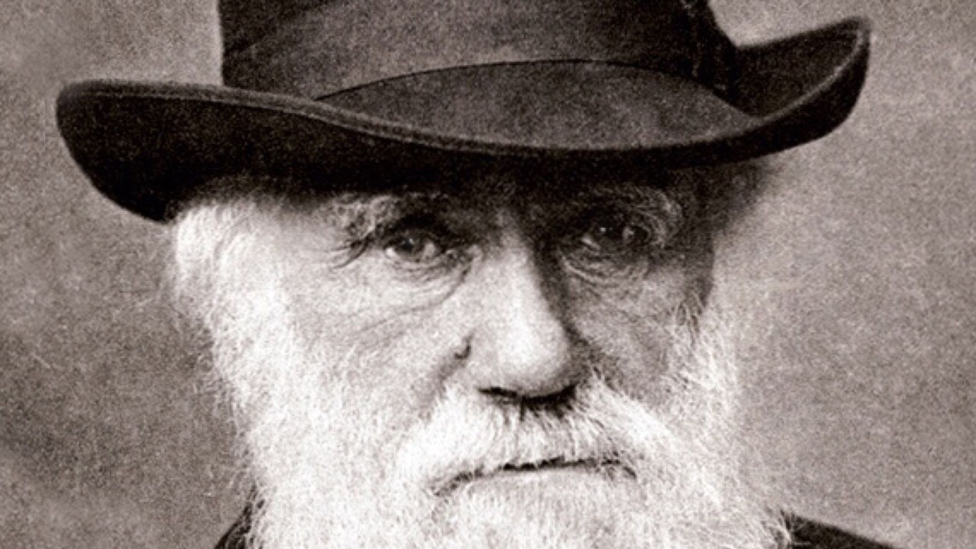 File:Charles Darwin 1880.jpg