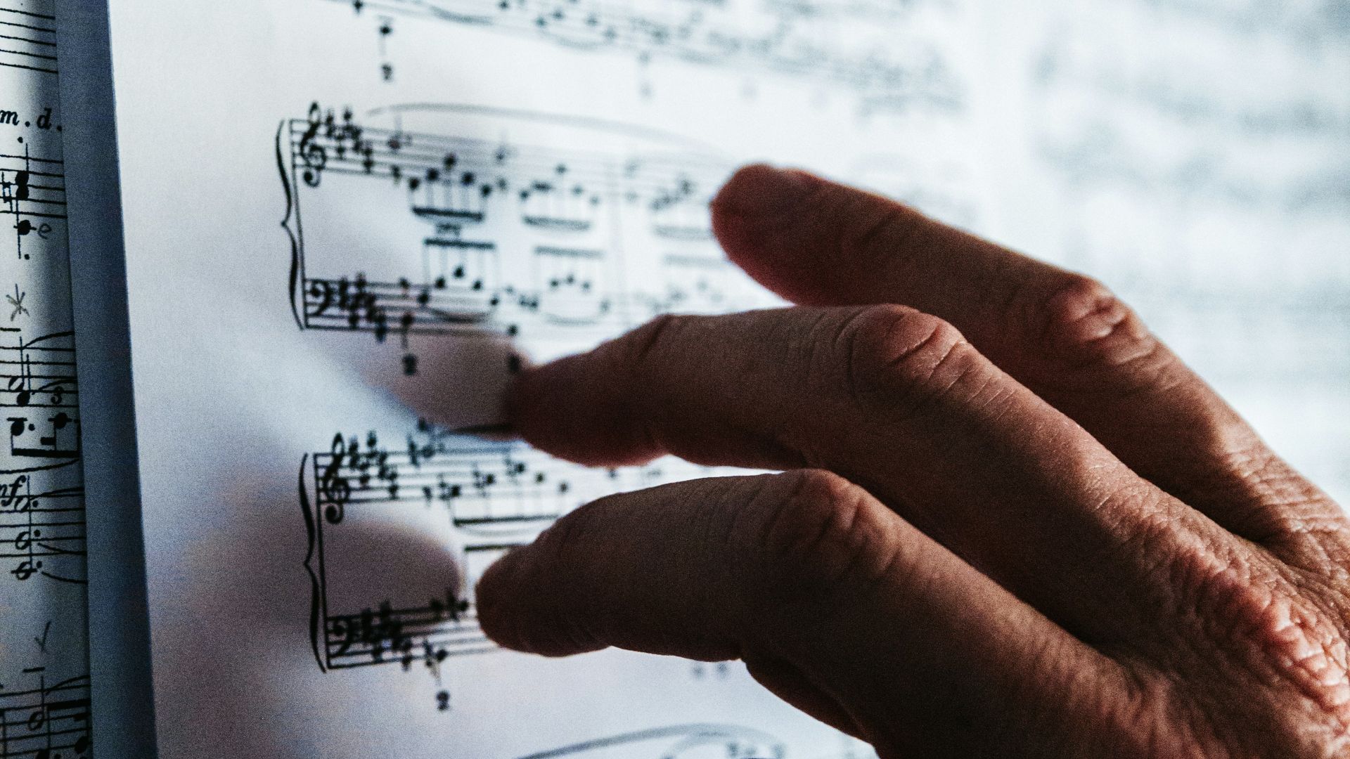 person reading musical note