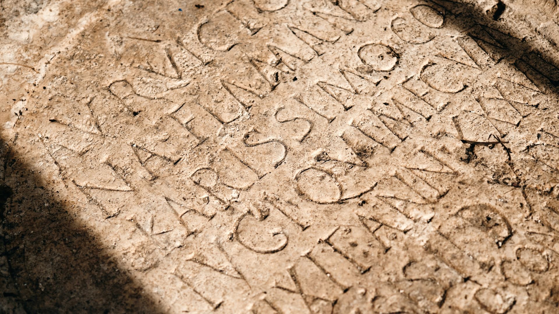 a close-up of a rock