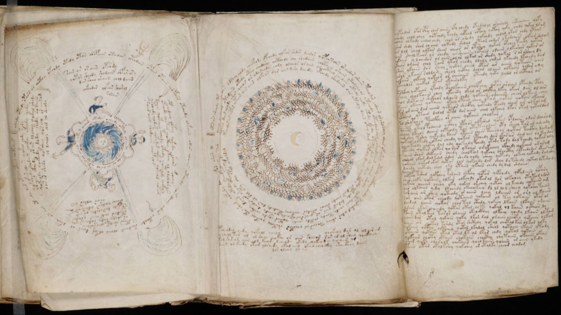 File:Voynich Manuscript (156).jpg
