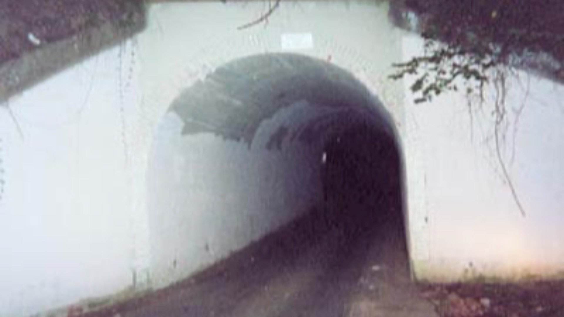 File:Bunnyman bridge night.jpg