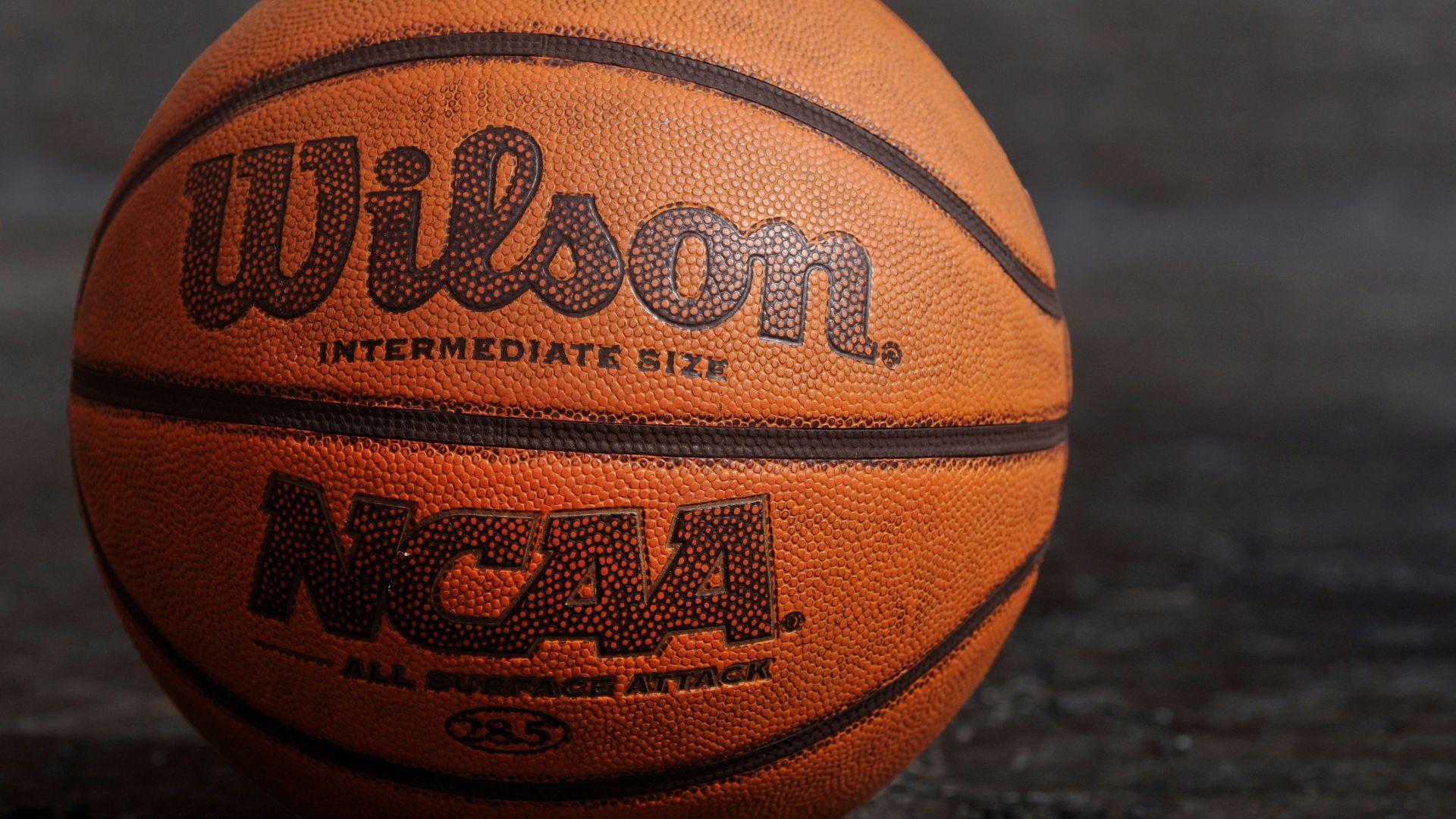 Wilson NCAA basketball on black board