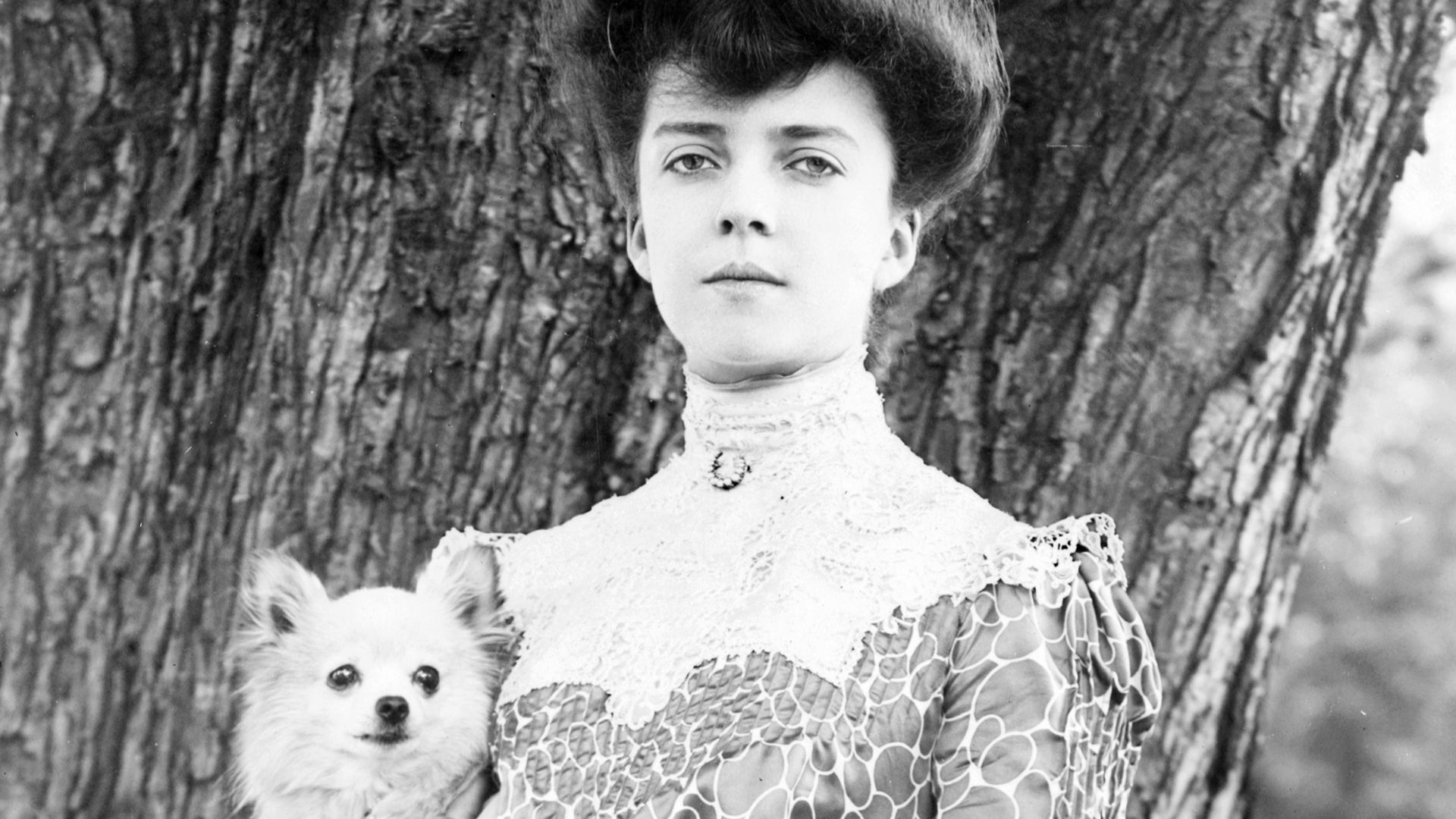 File:AliceRooseveltwPekingeseDog1902.jpg