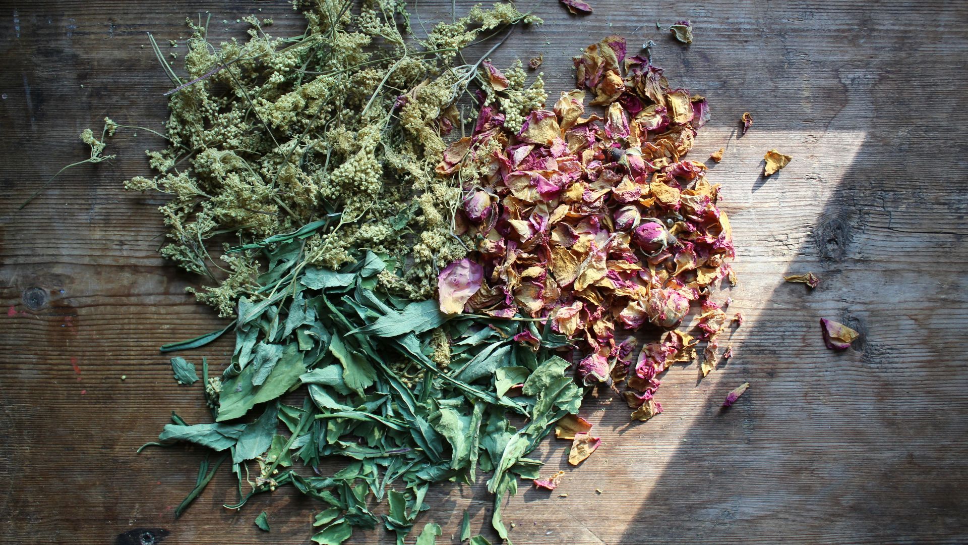 green and purple leaves