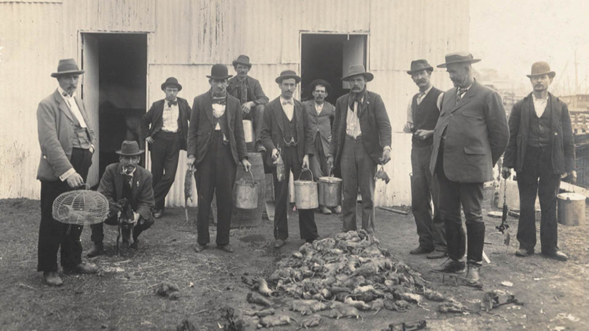 File:Professional ratcatchers Sydney 1900 Degotardi a147264.jpg
