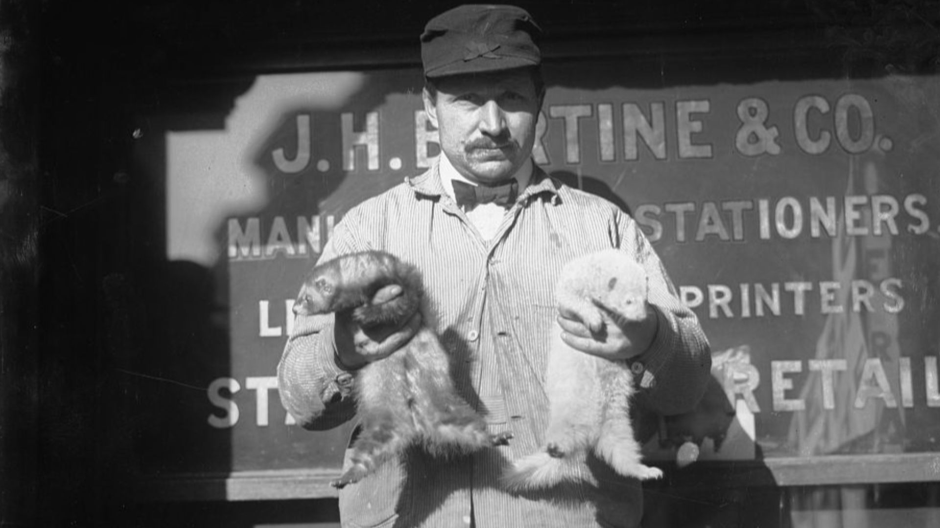 File:Rat catcher & ferrets LCCN2014680035.jpg