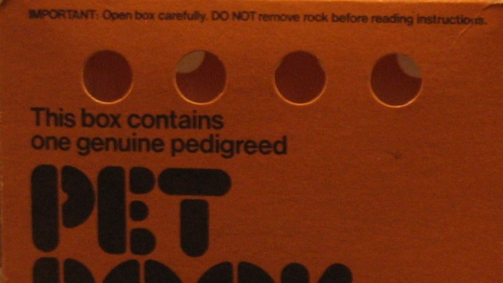 File:PetRock Box.jpg