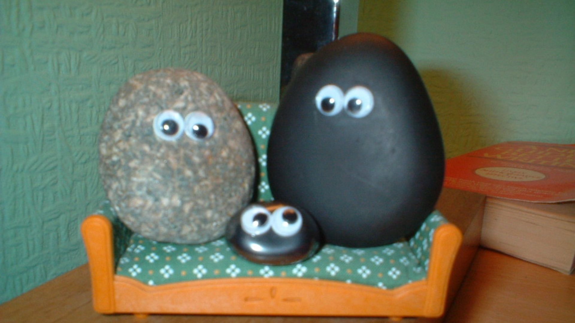 File:Pet rock.jpg