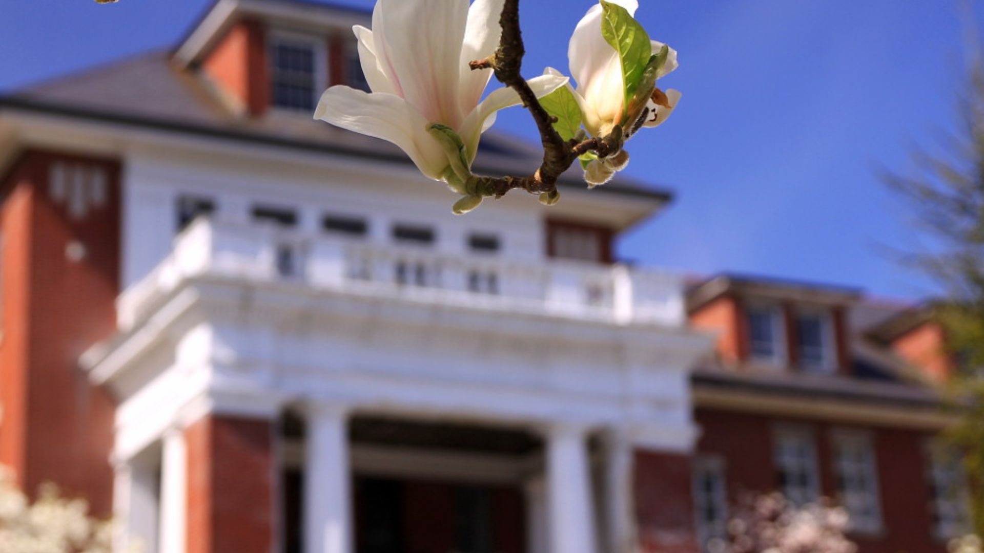 File:Coquitlam 140413-060 (13990444780).jpg