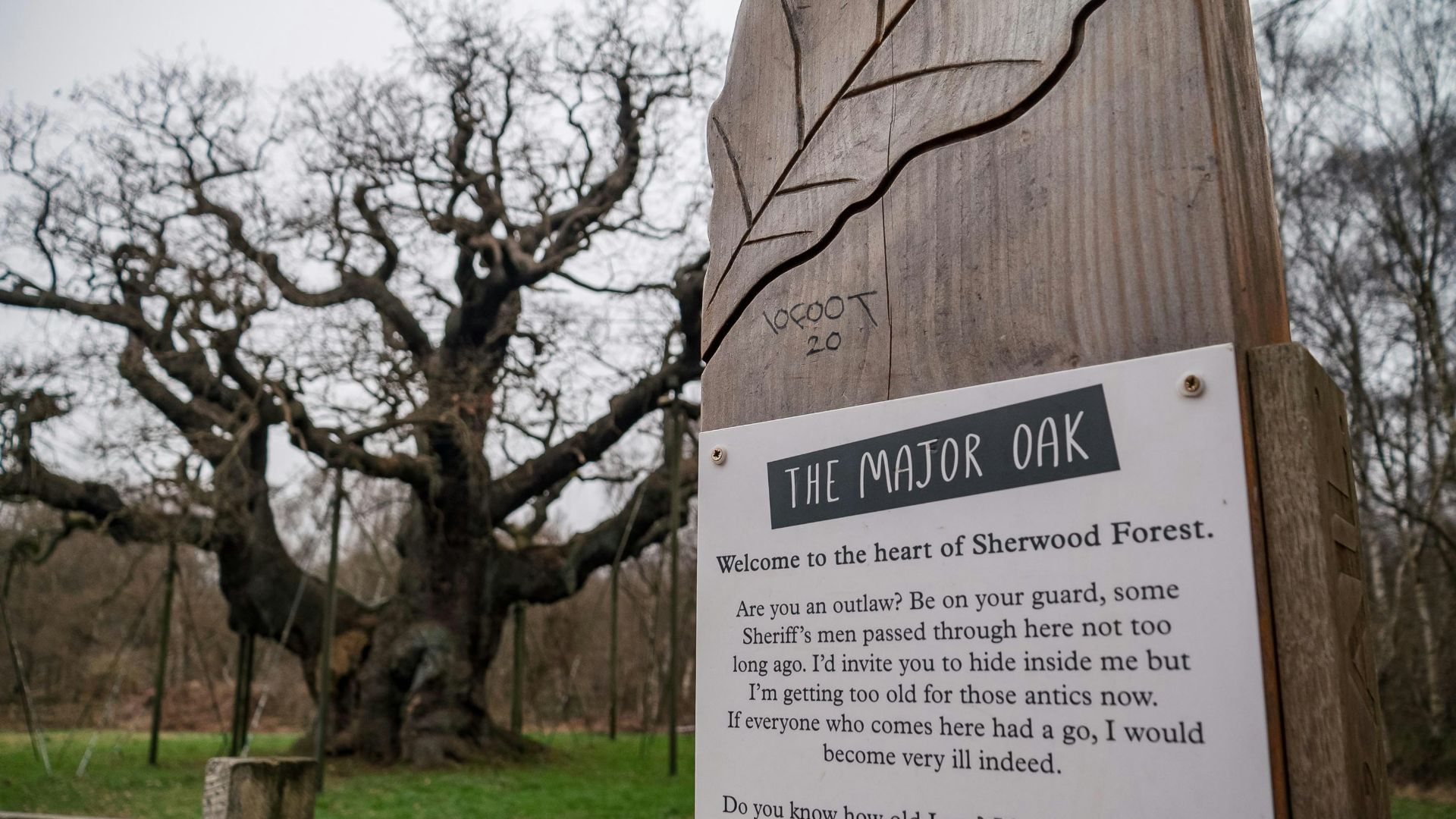a sign on a wooden post in front of a tree