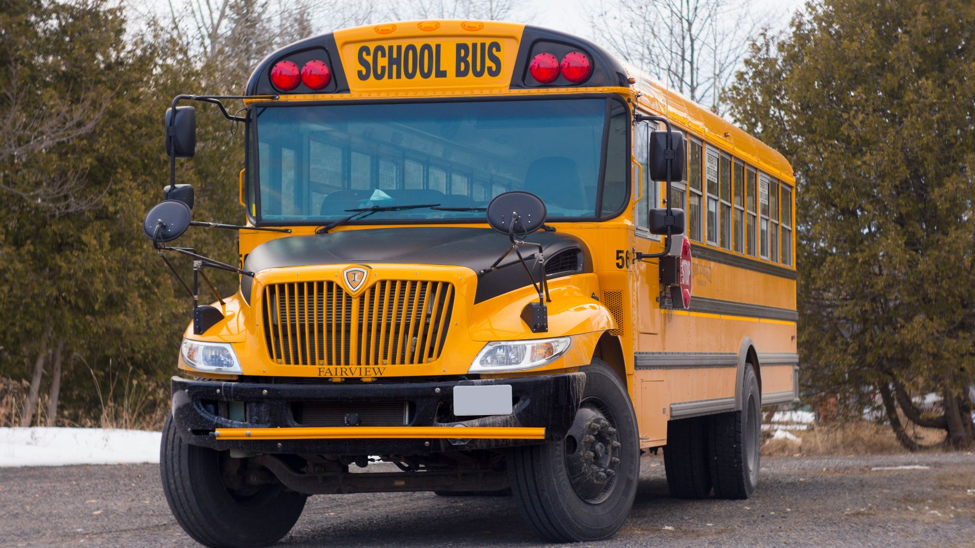 yellow school bus on road