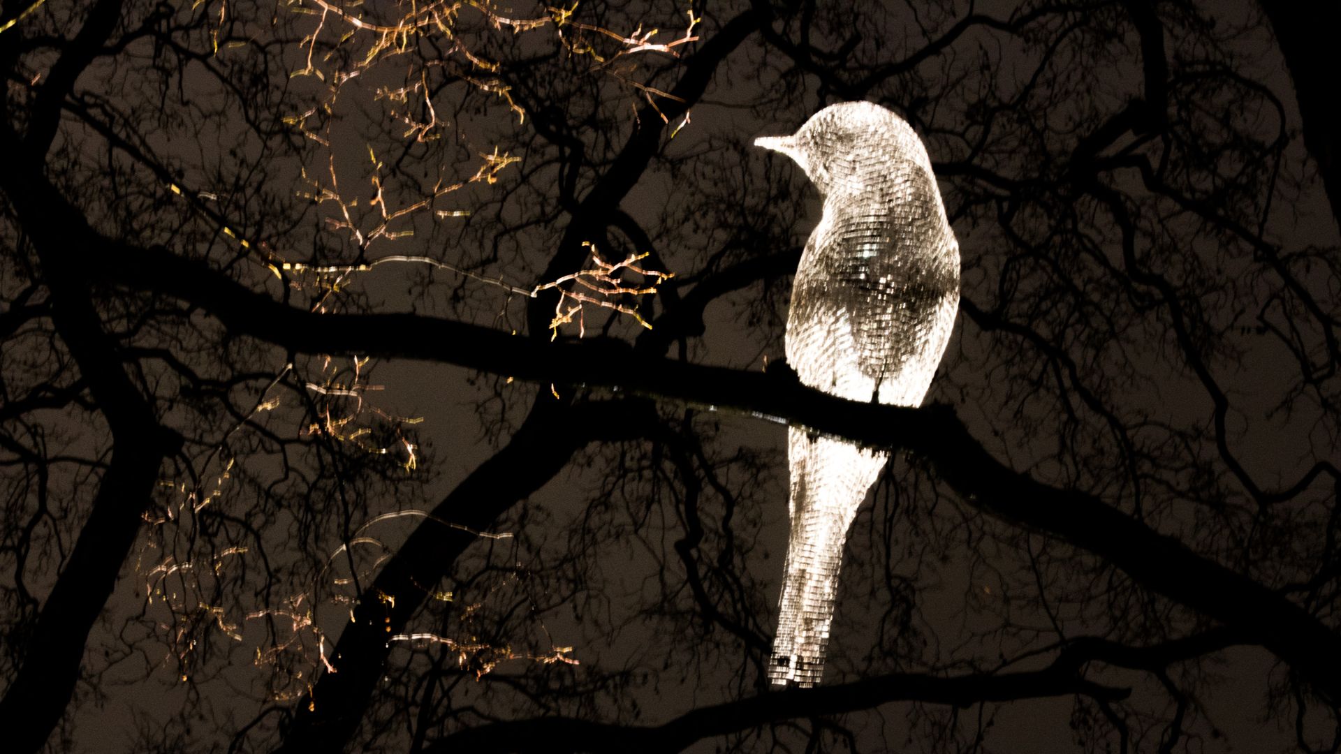 File:Was that a dream by Cedric Le Borgne.jpg