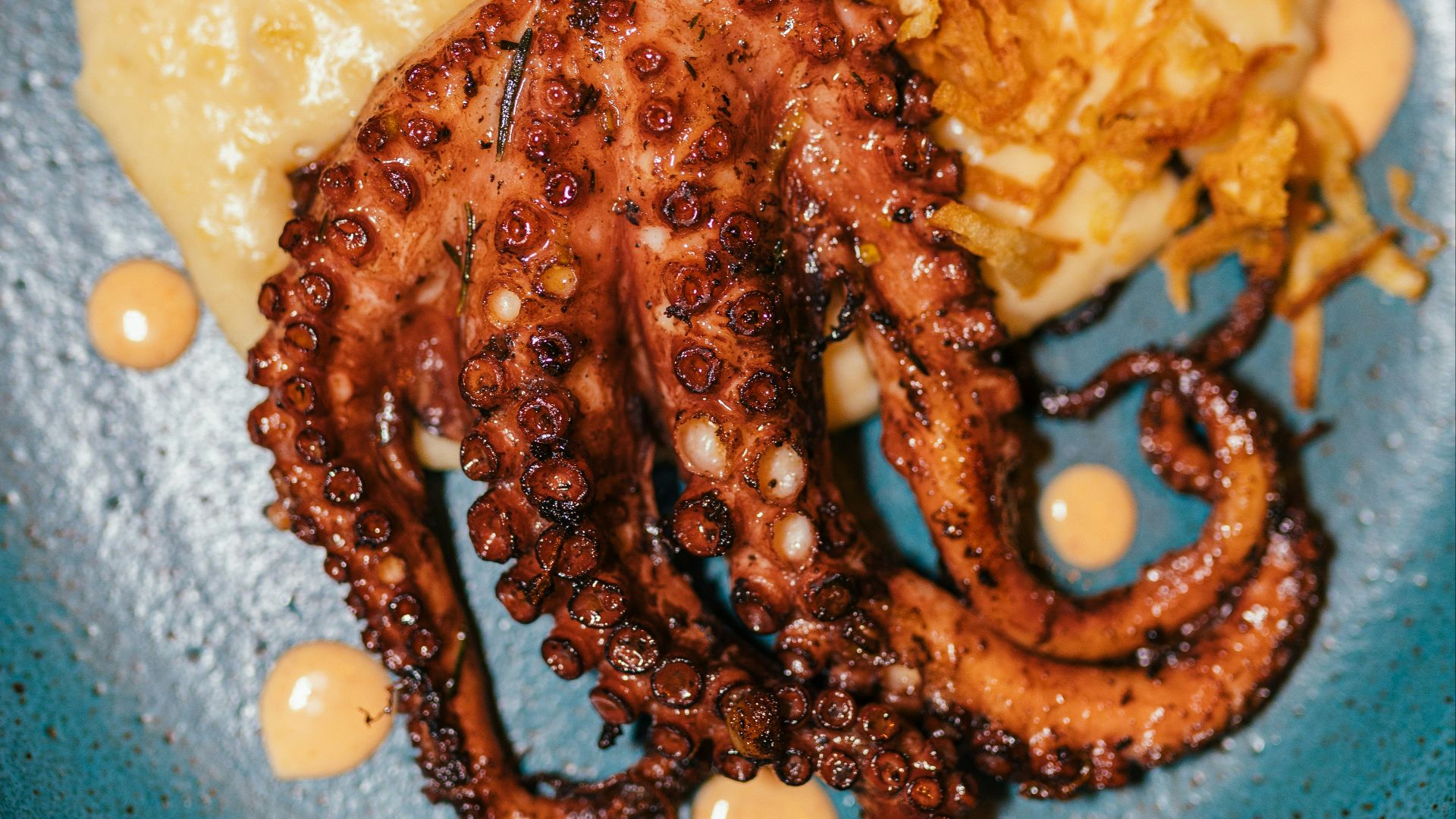 brown and white beans on white ceramic plate