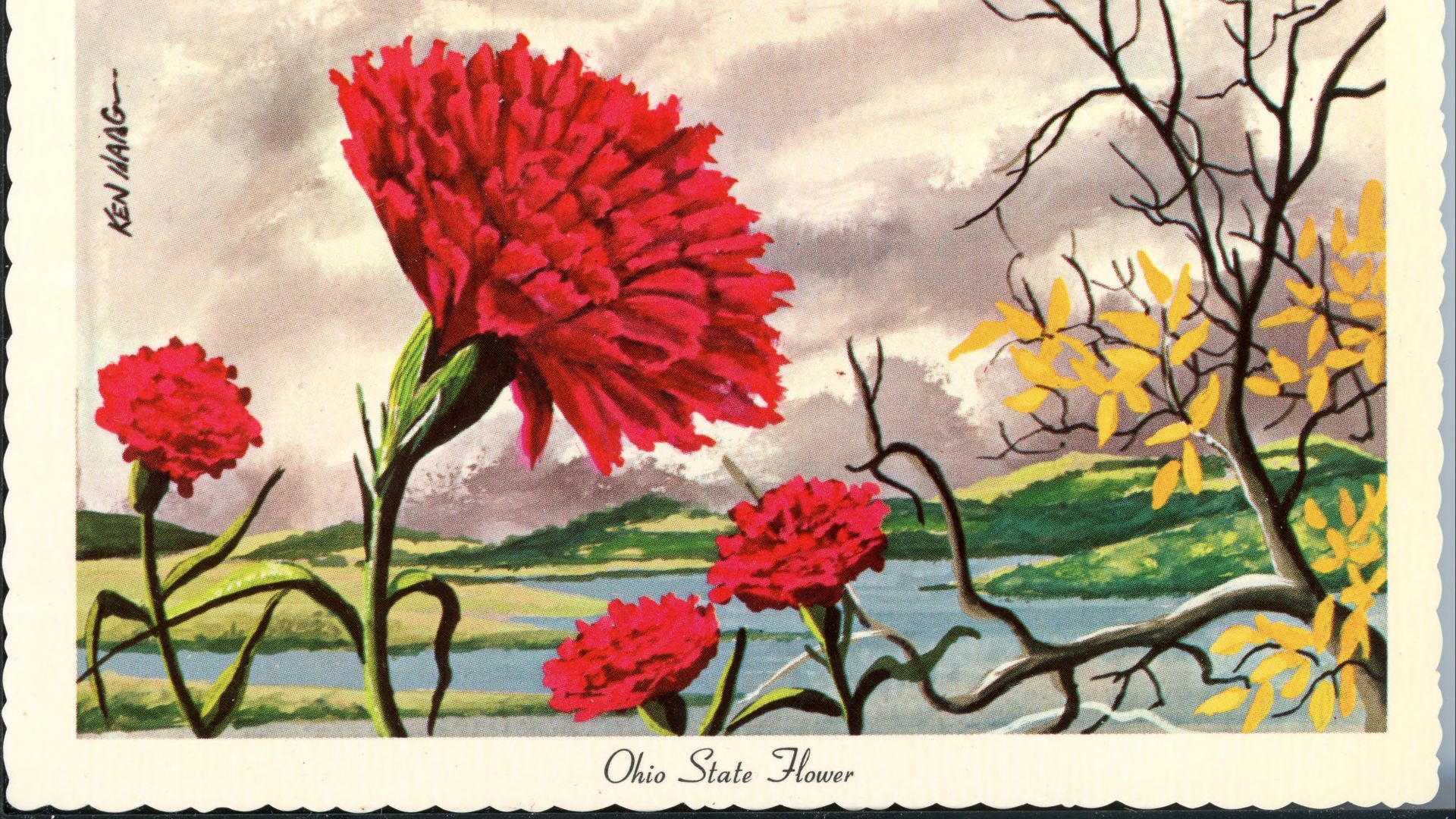 File:Scarlet Carnation Ohio State Flower - DPLA - 739810a72bae2d39de14ec76e96adb1a (page 1).jpg