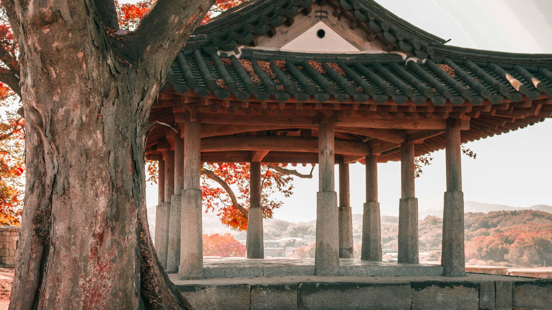 gazebo near large tree
