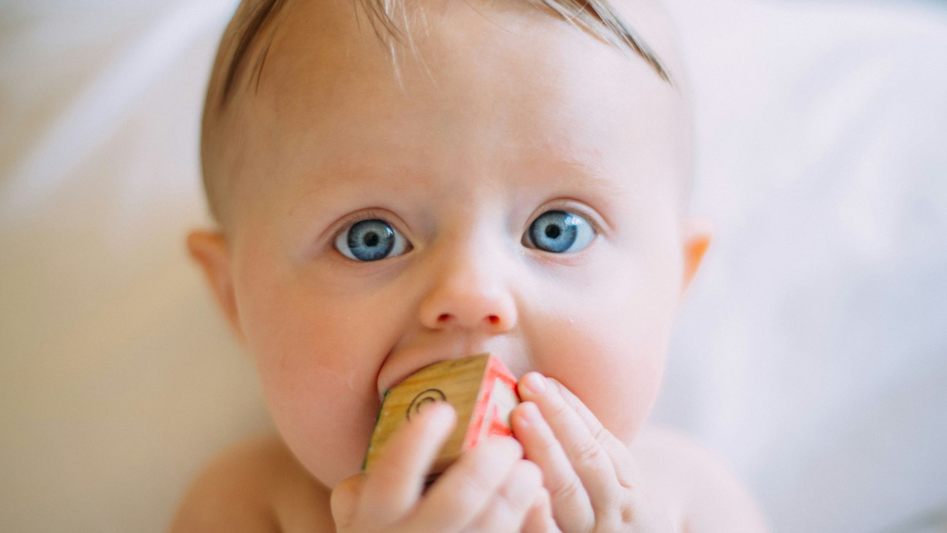selective focus photography of baby holding wooden cube