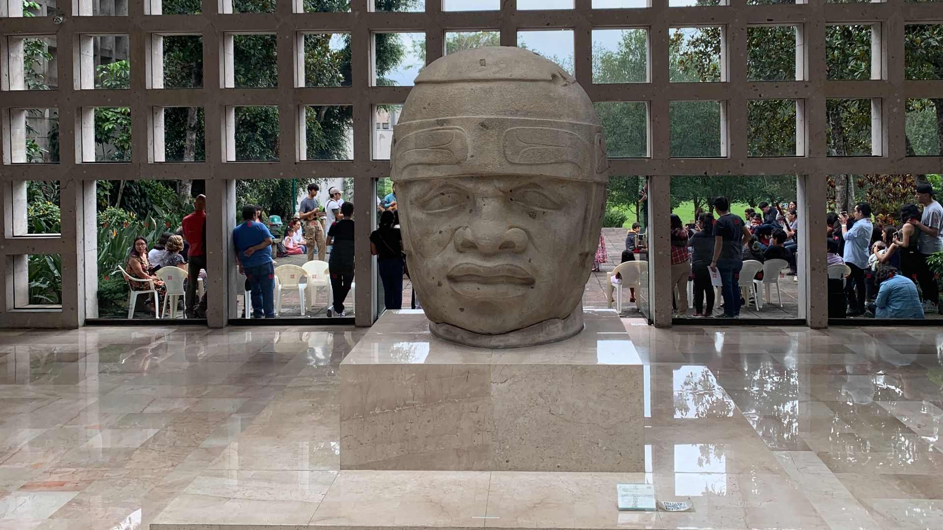 File:Cabeza olmeca en el Museo de antropologia de Xalapa.jpg