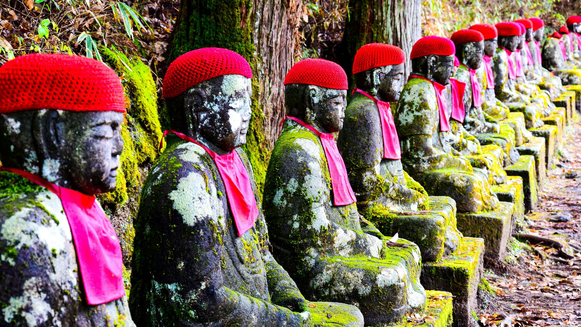 a row of buddha statues sitting next to each other