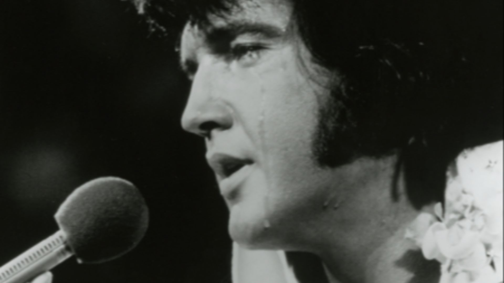 File:Elvis Presley 1973 RCA Records and Tapes publicity - cropped.png