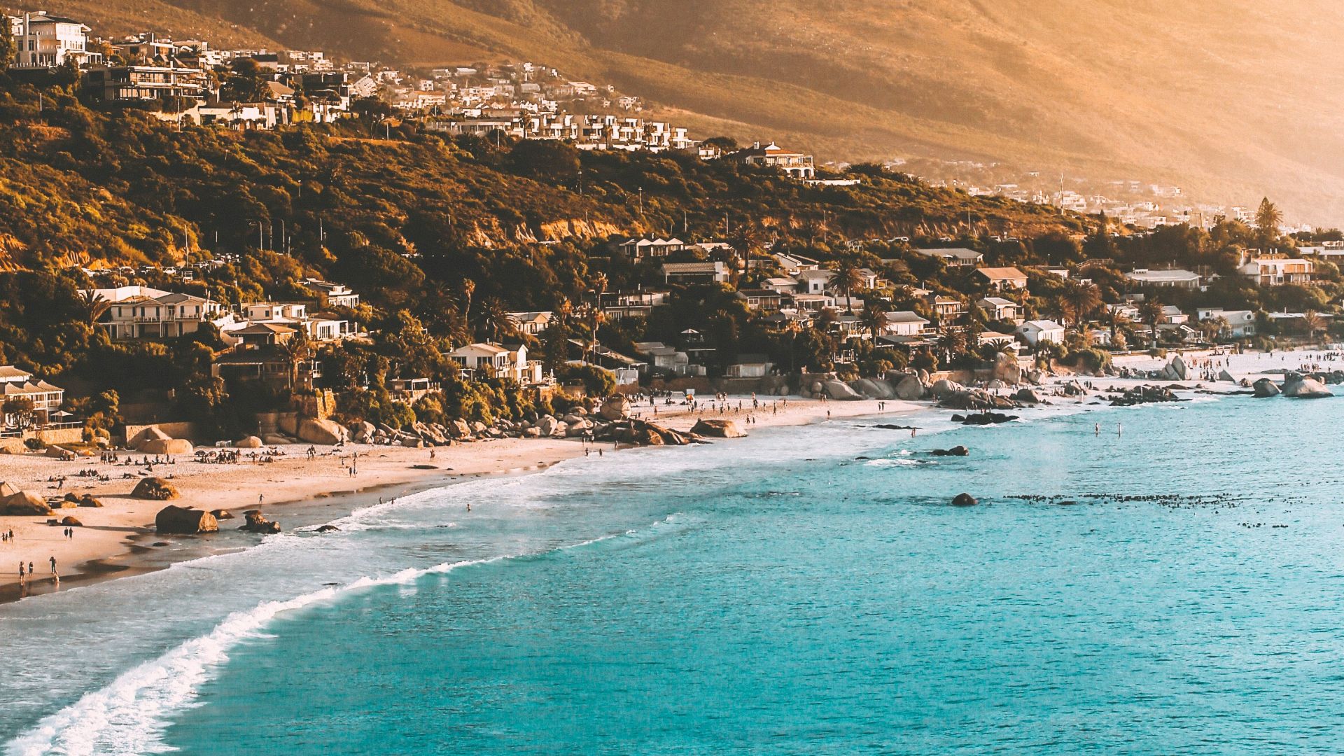 people on beach shore
