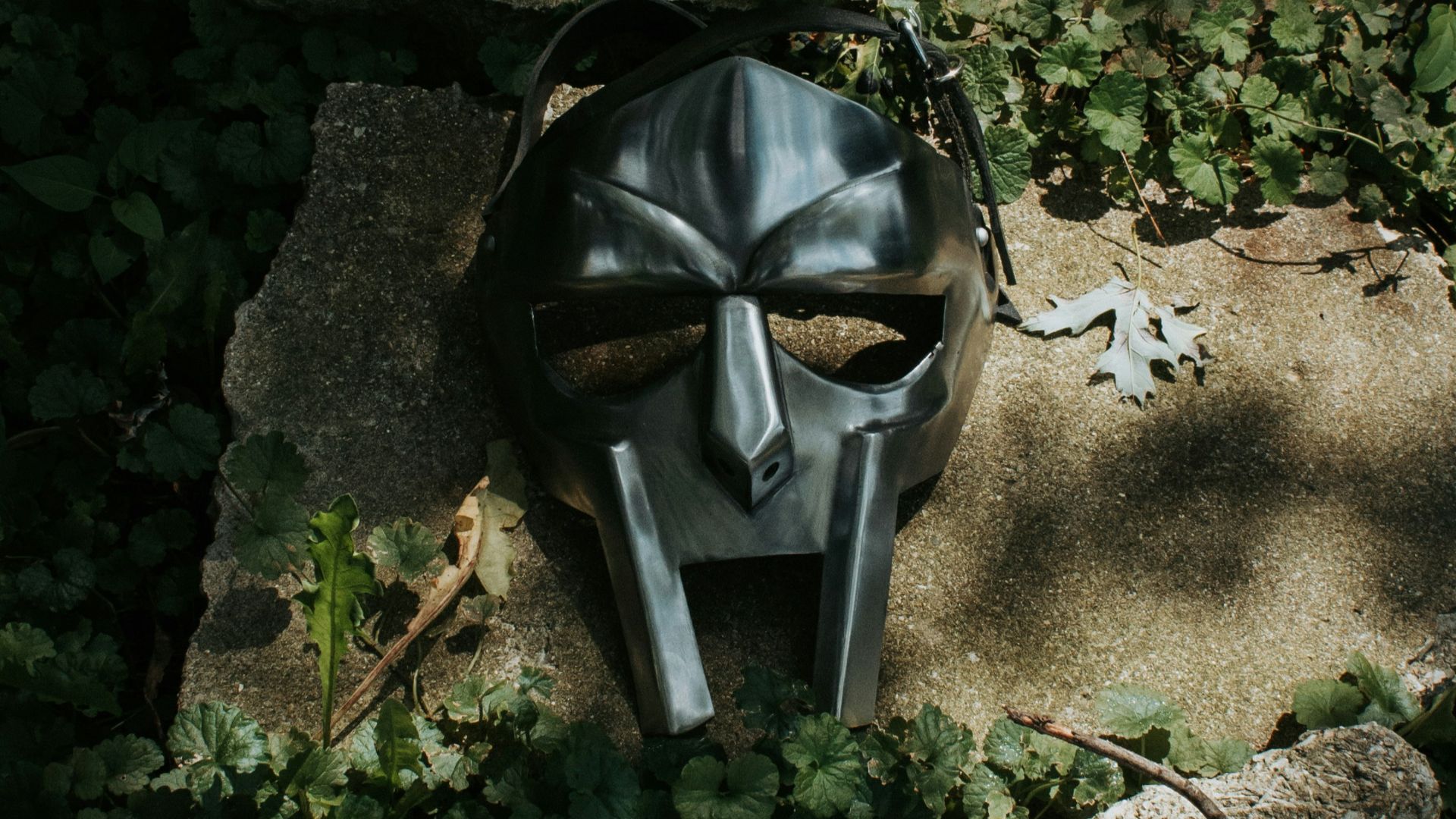 gray and black mask on brown rock