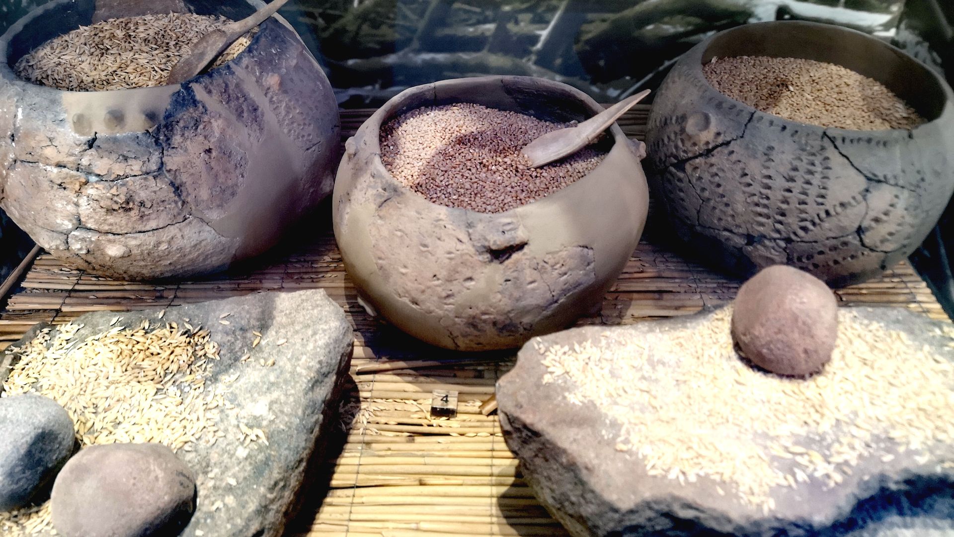 File:020240817 122650 linear pottery culture.jpg