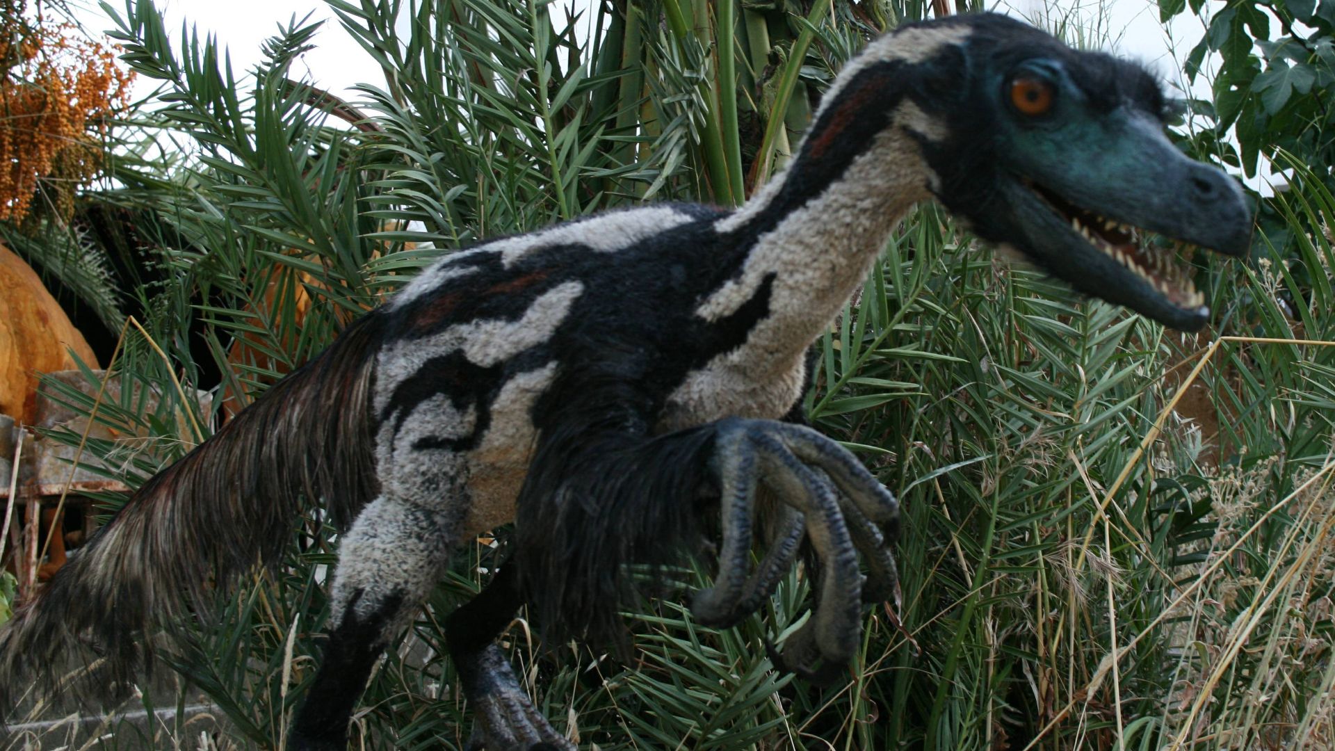 File:Velociraptor-by-Salvatore-Rabito-Alcón.jpg