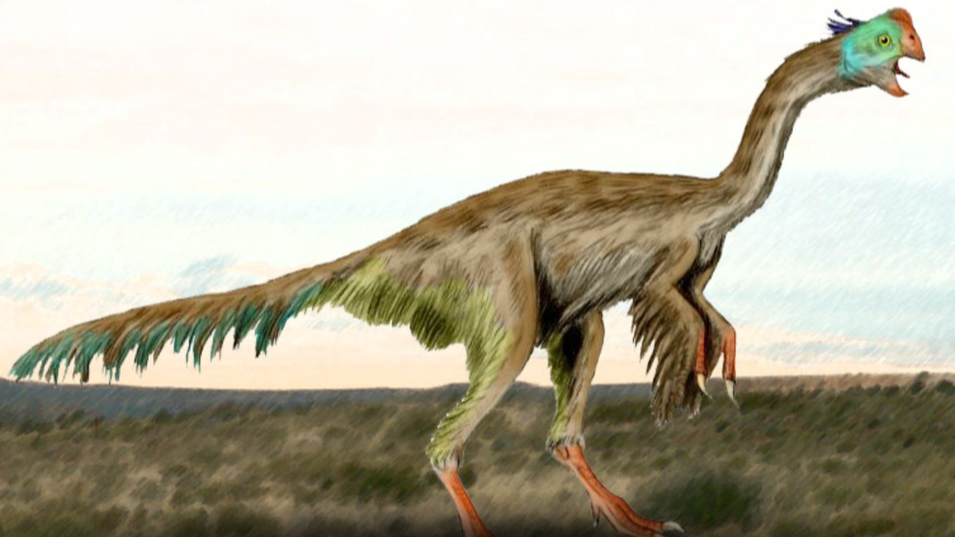 File:Gigantoraptor composite.jpg