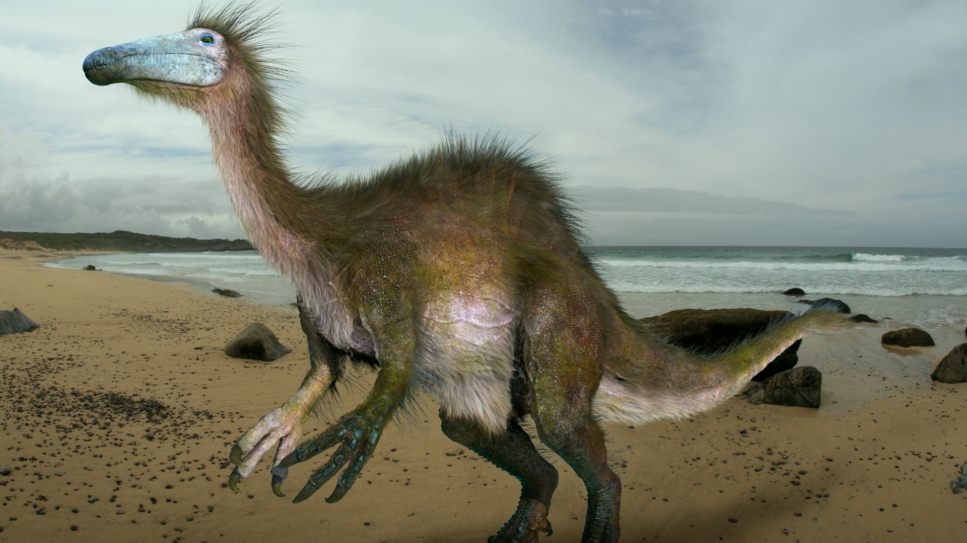 File:Deinocheirus by johnson mortimer-d9npnef.jpg