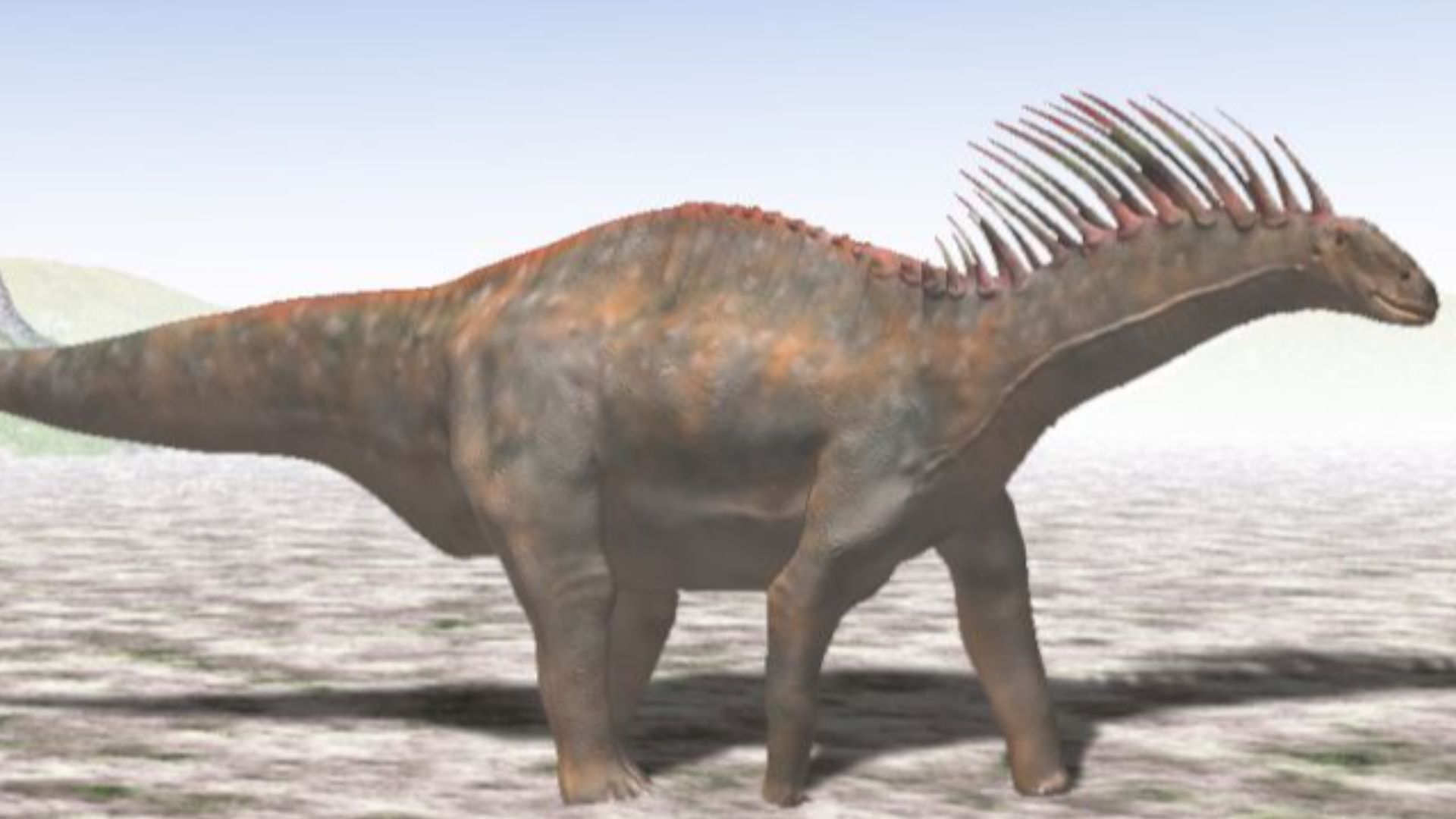 File:Amargasaurus BW.jpg