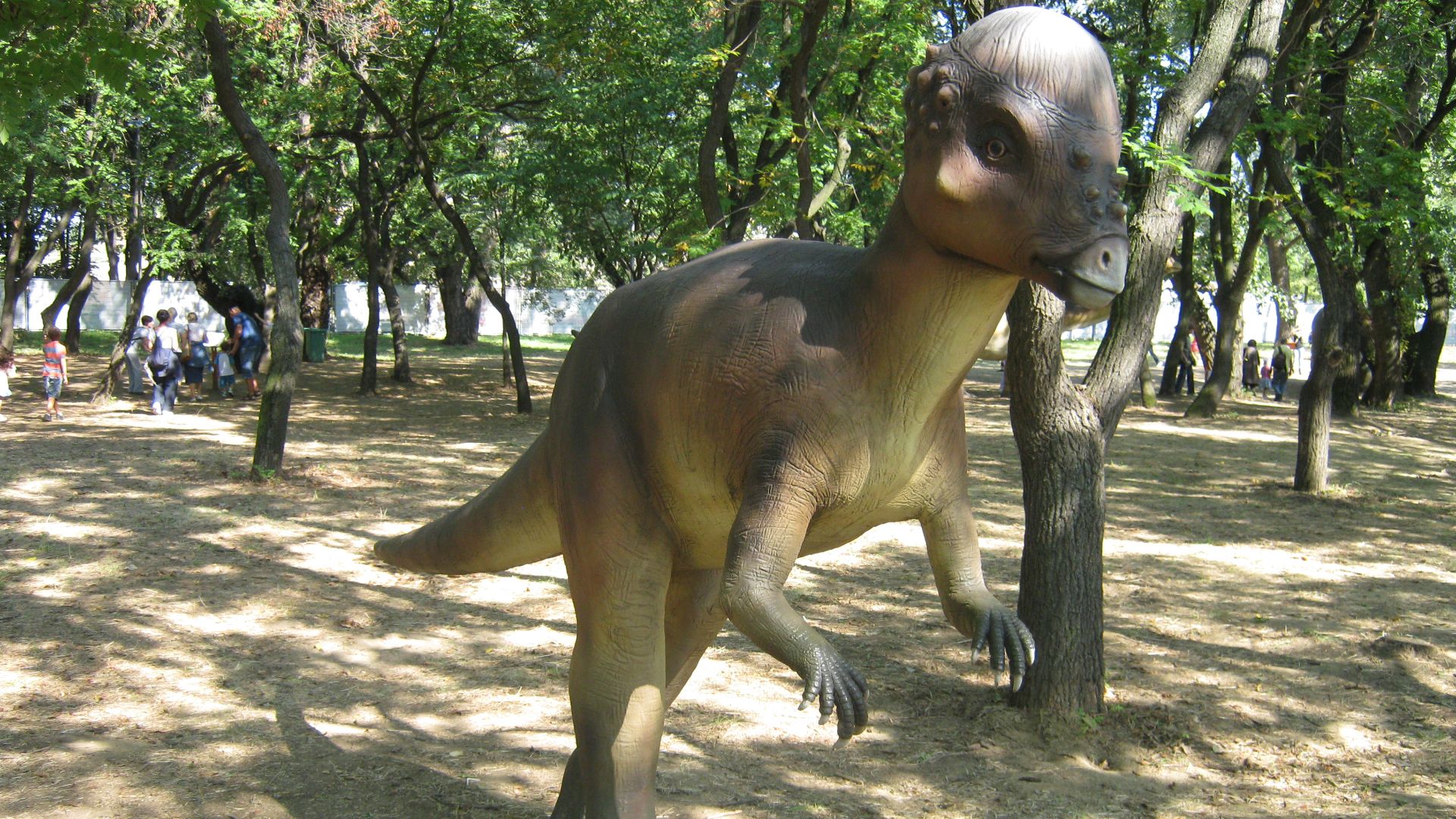 File:Pachycephalosaurus model.jpg