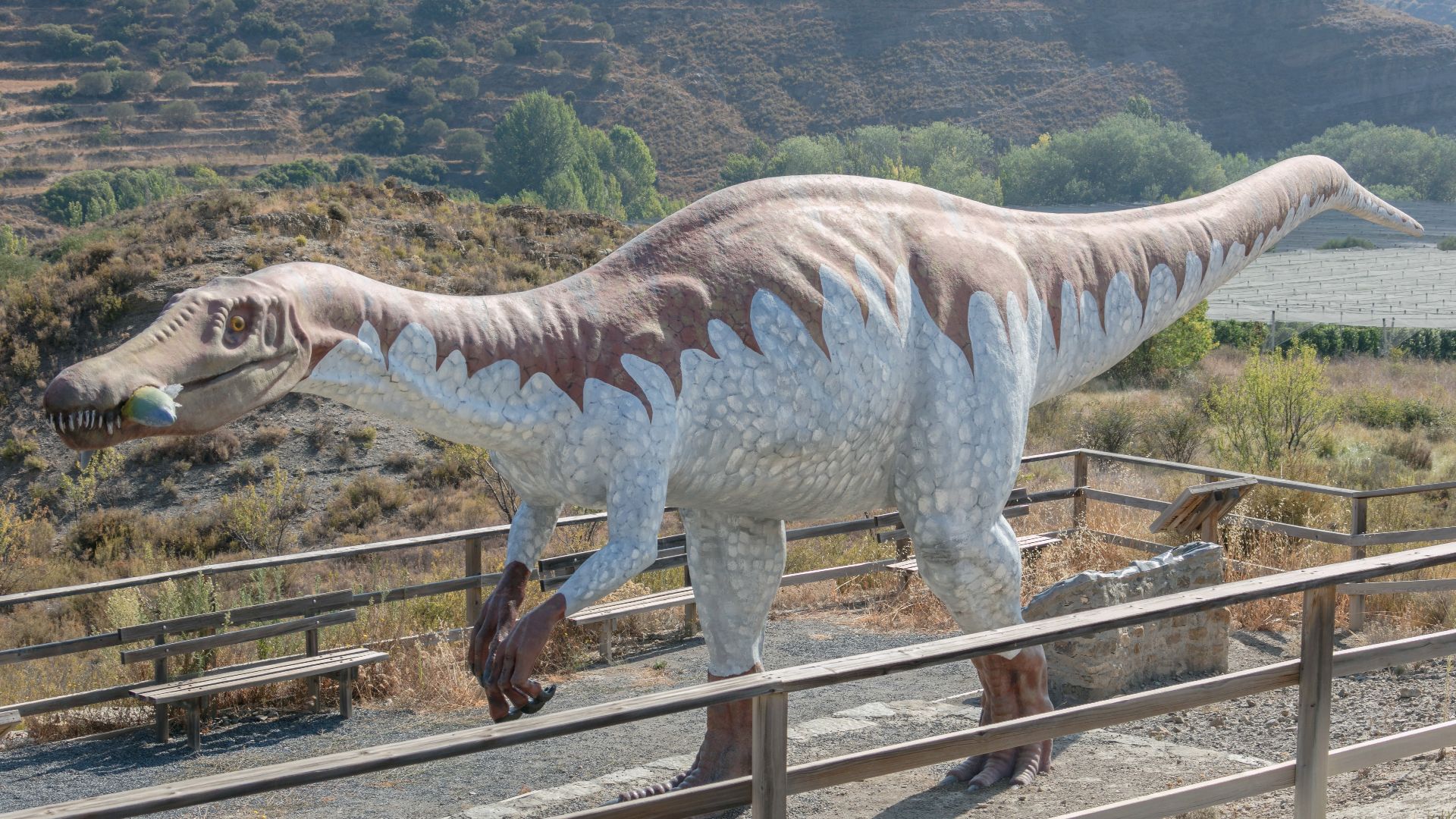 File:Modelo de un Baryonyx walkeri, yacimiento La Era del Peladillo, Igea, La Rioja, España, 2021-08-31, DD 22.jpg