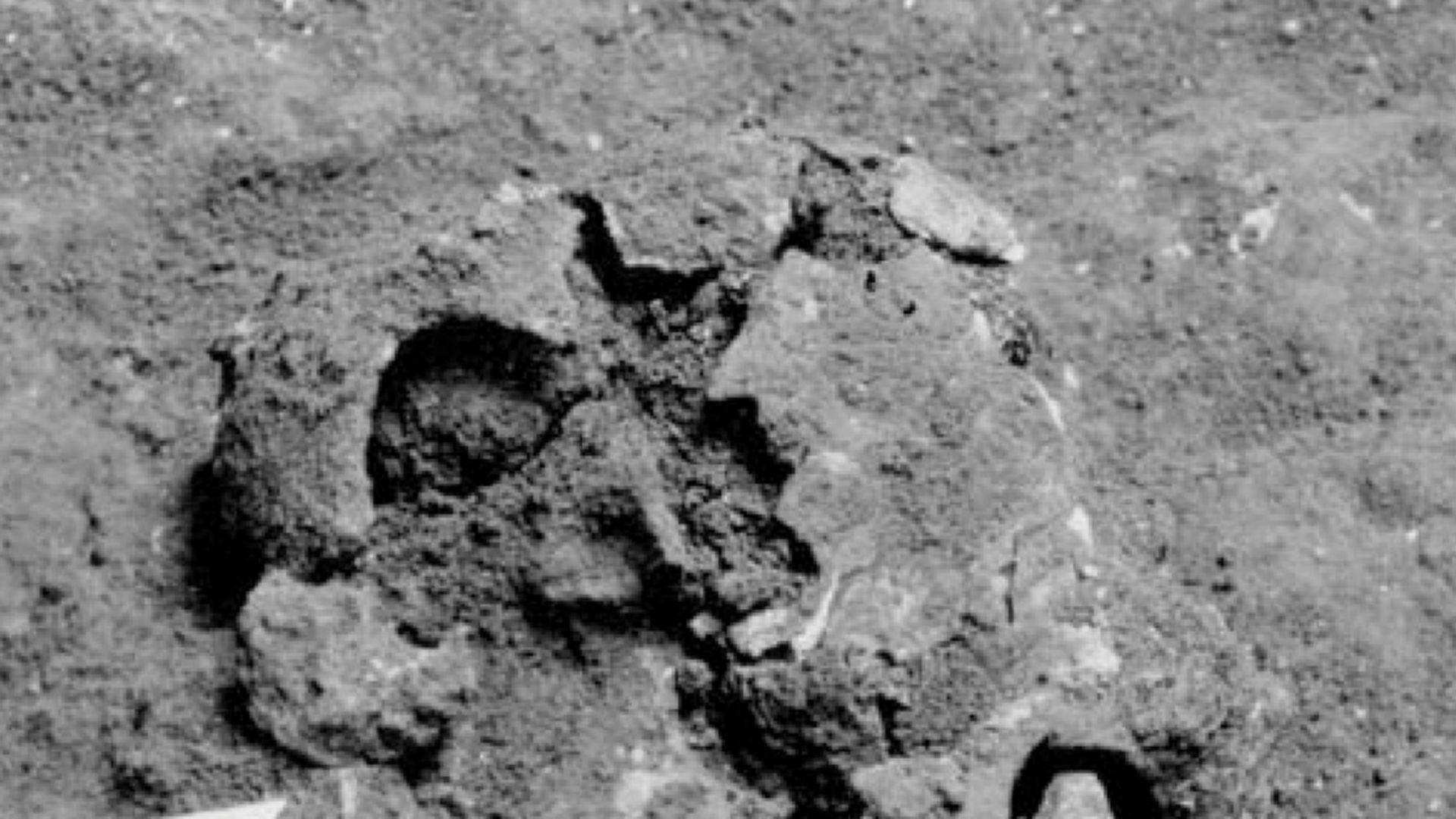 File:Ksar Akil Fossils (cropped).jpg