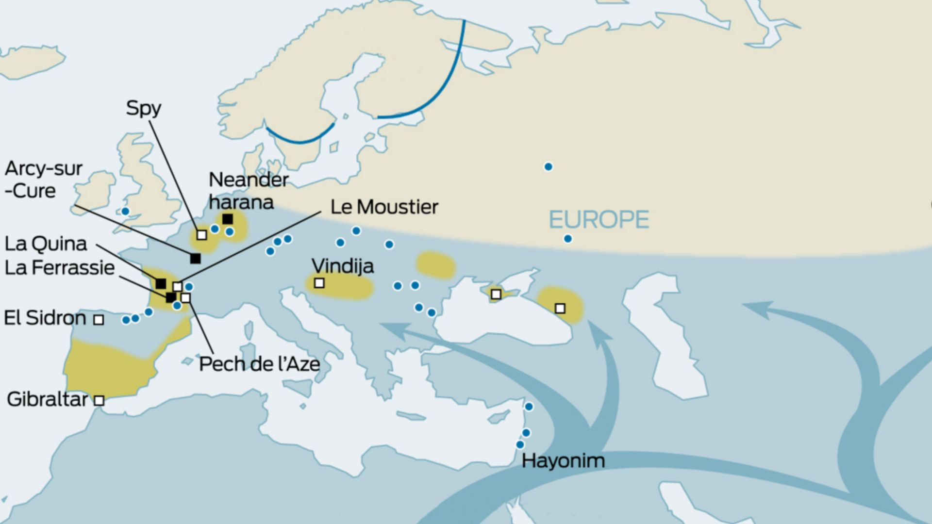 File:Expansion of early modern humans from Africa.jpg