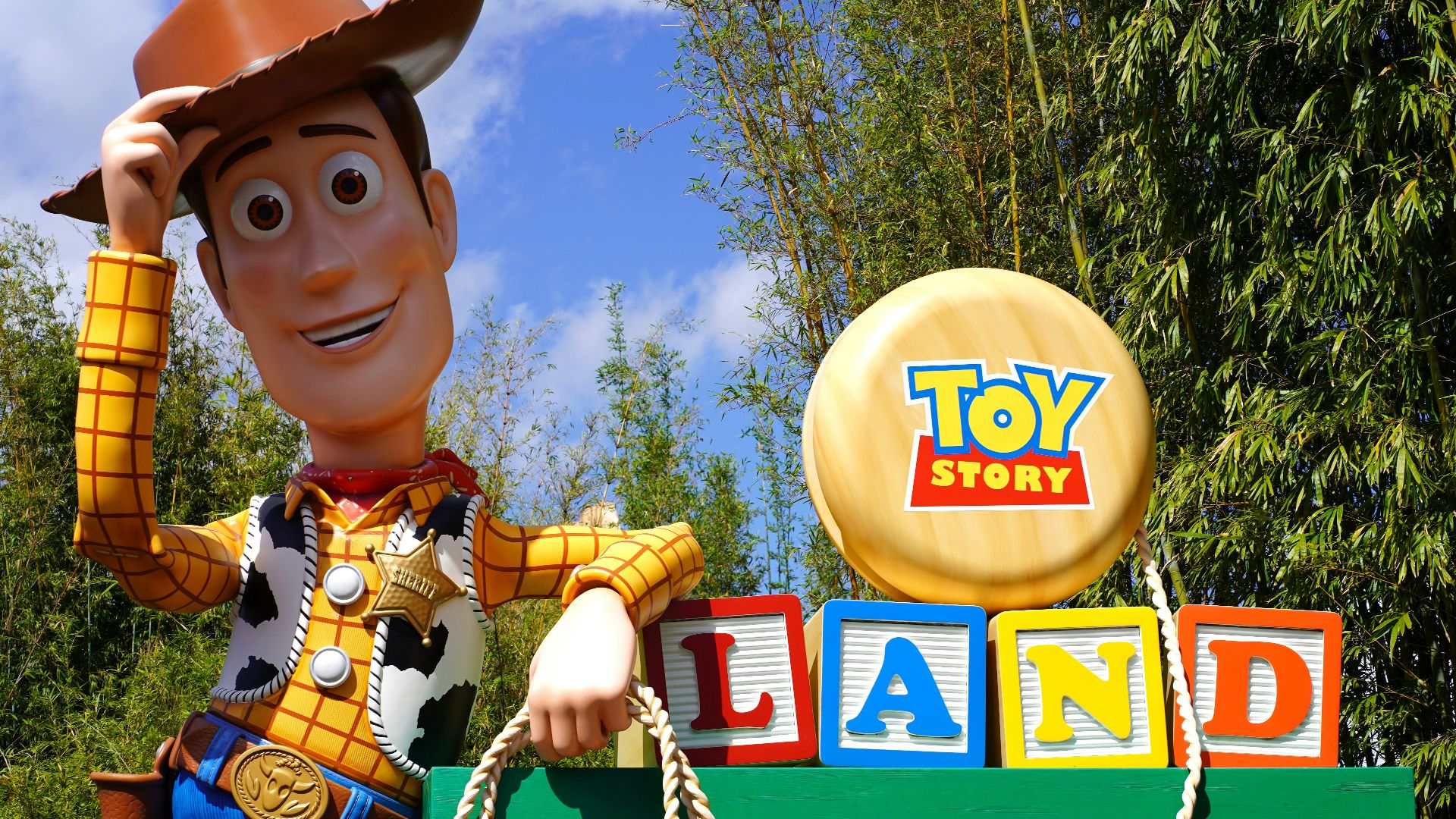 boy in blue and yellow button up shirt with brown hat