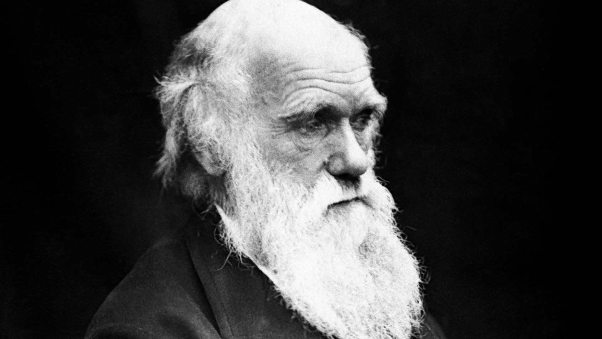File:Charles Darwin 01.jpg