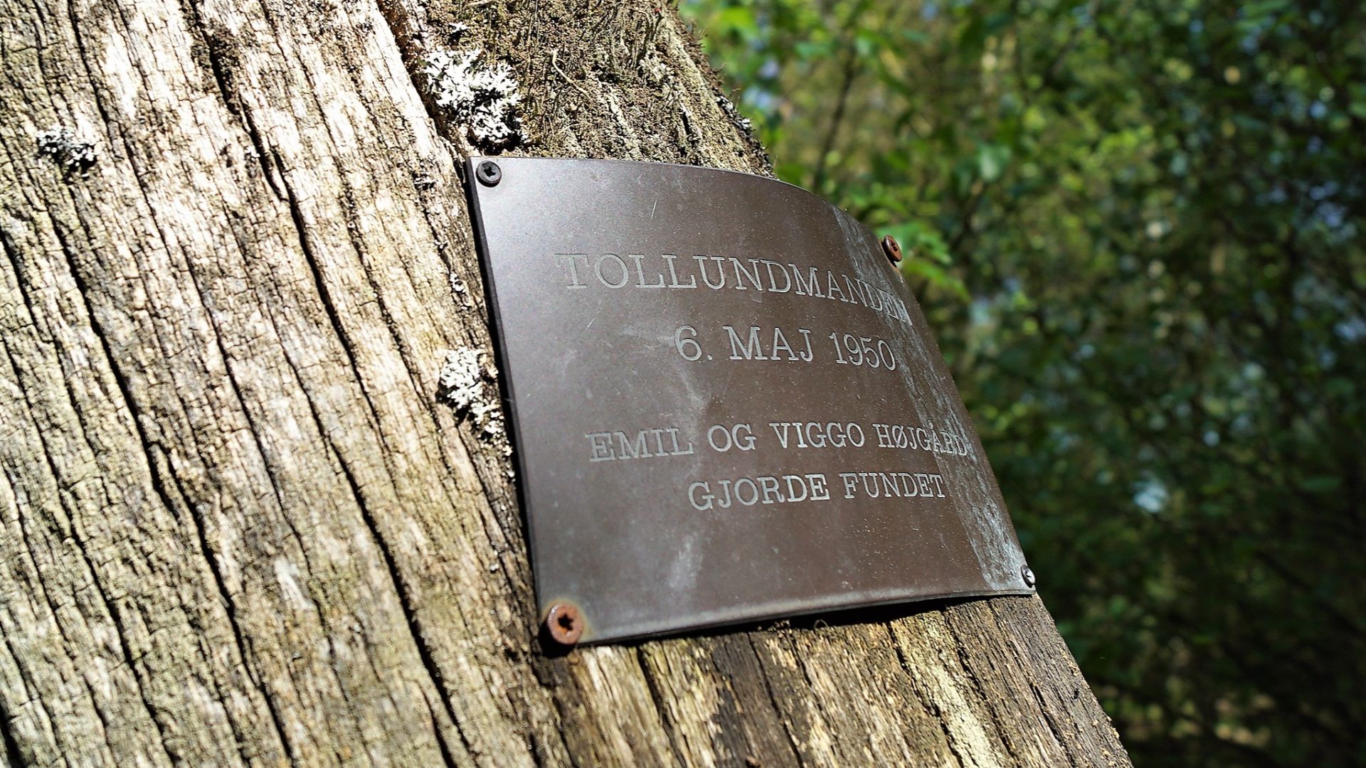 File:Mindeplade for fundet af Tollundmanden.jpg