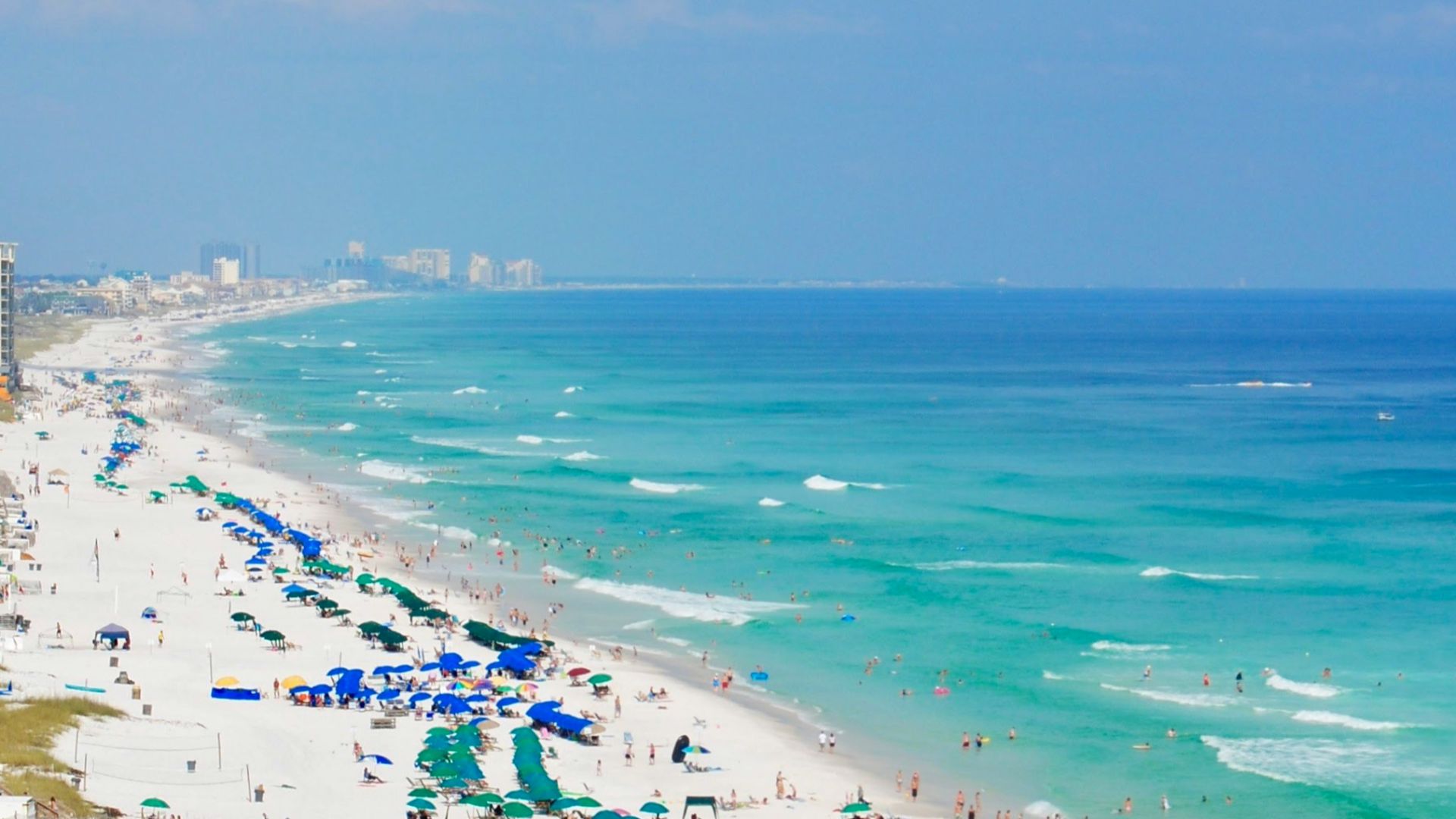 people on beach during daytime