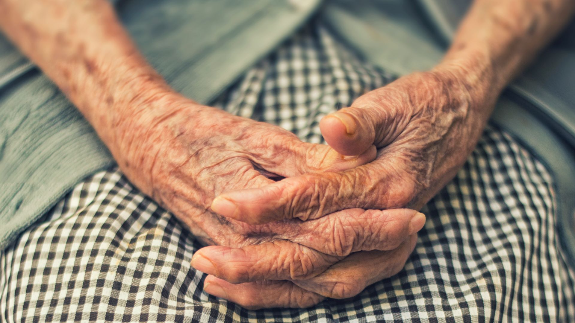 person's hand in shallow focus