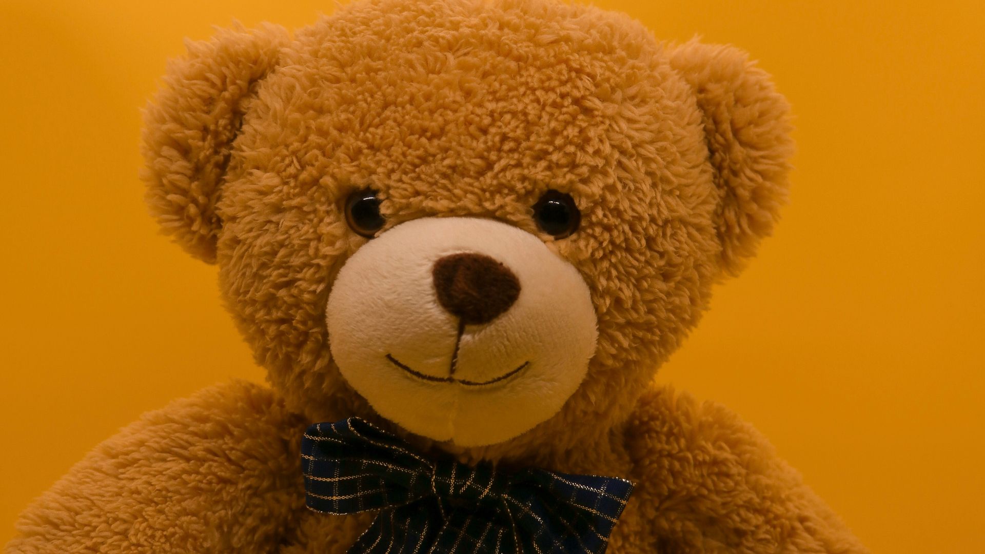 brown teddy bear with black and white bow tie