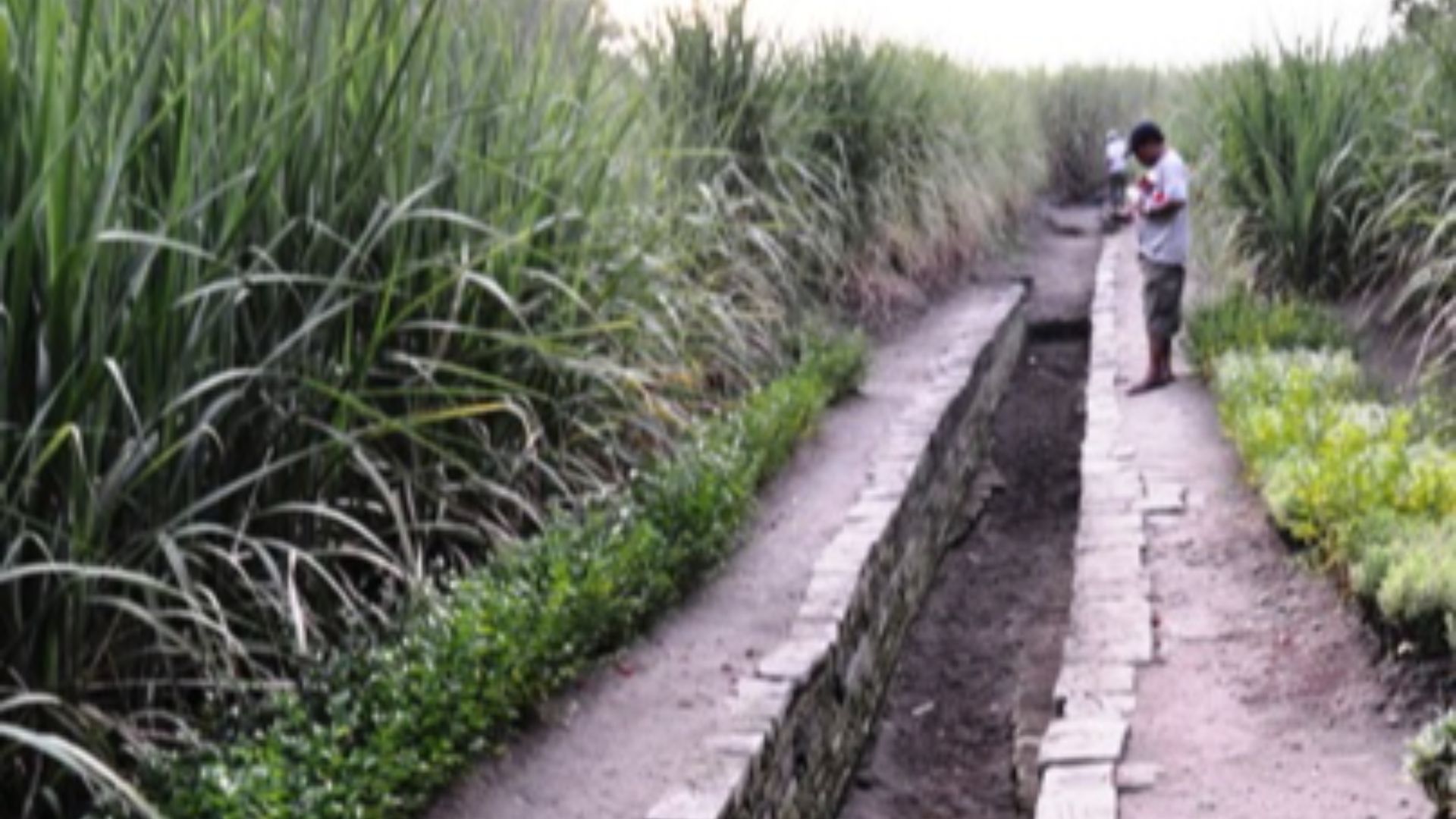 File:Trowulan ancient canal 1.JPG