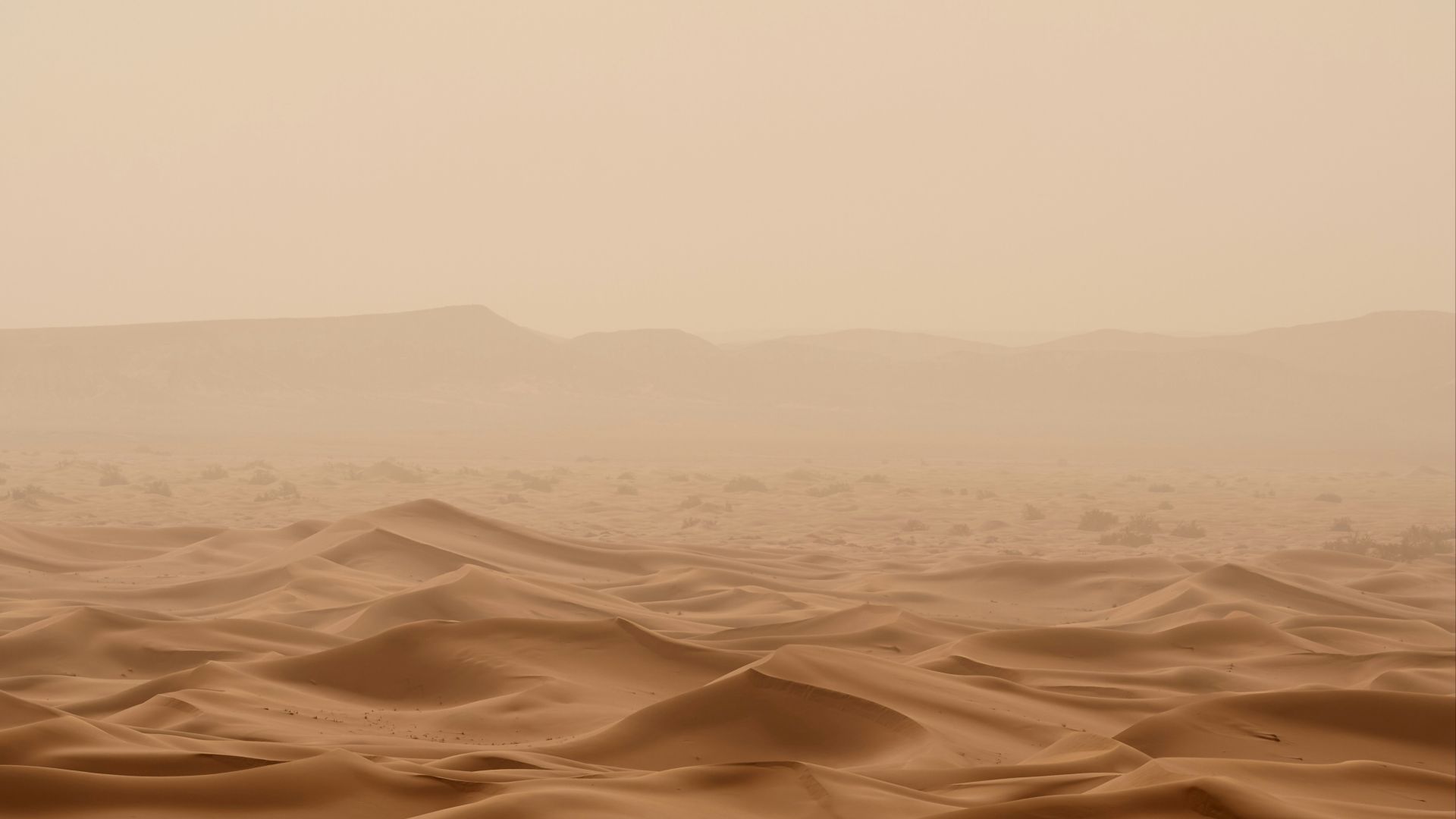 desert under white sky during daytime