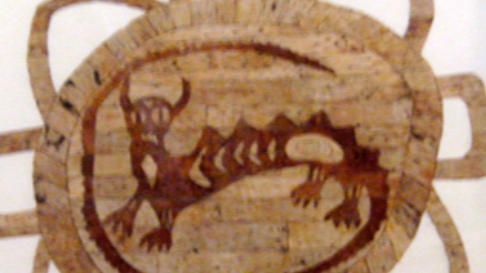 File:Underwater panther NMAI GGH.jpg