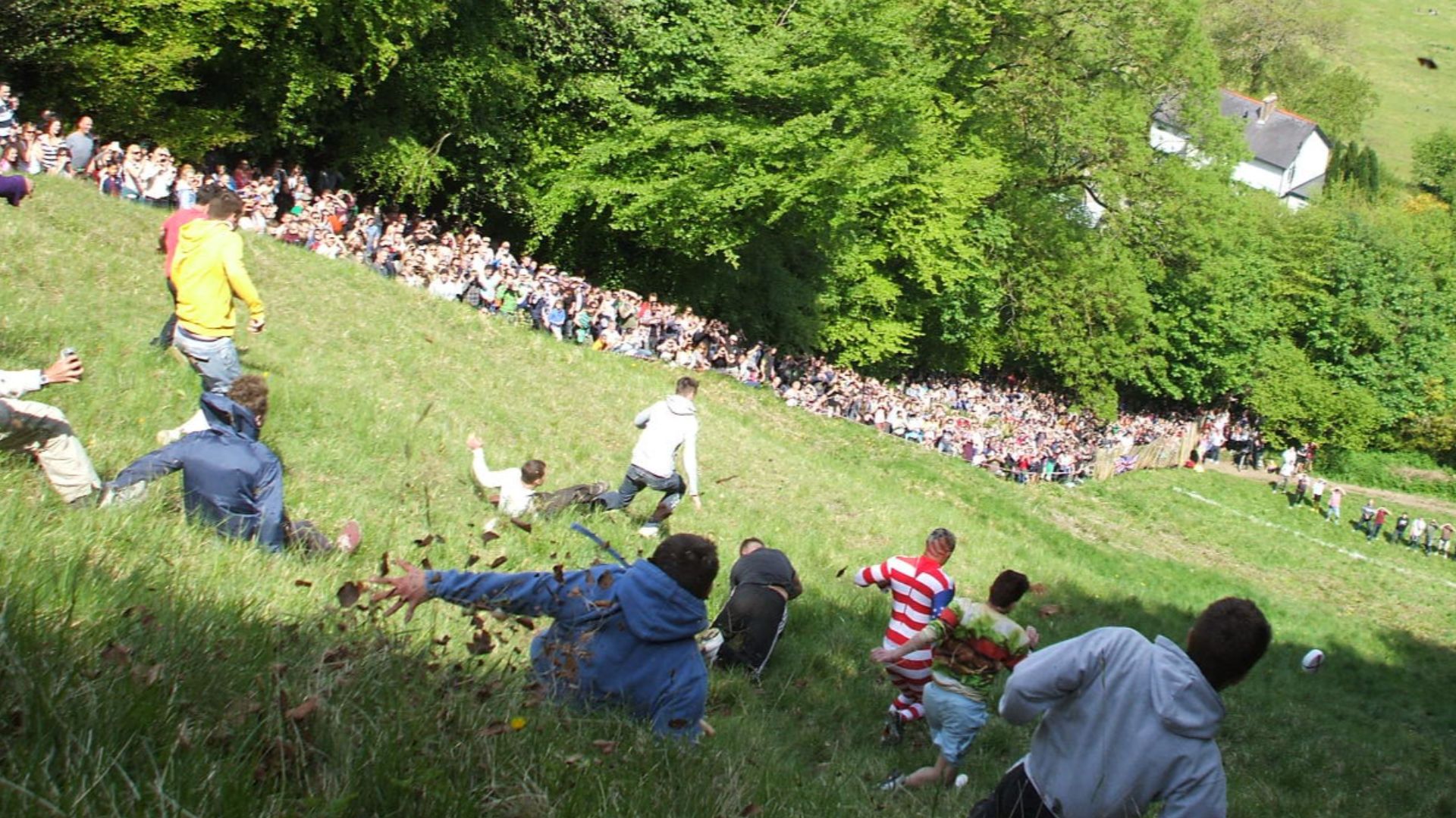 File:CheeseRolling.jpg