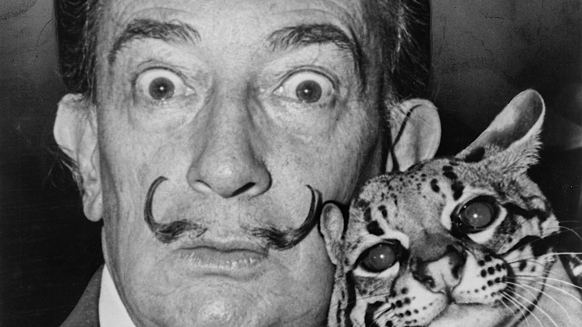 File:Salvador Dali NYWTS.jpg