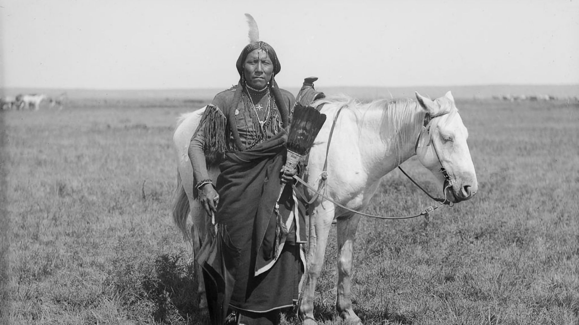 File:Ako, a Comanche warrior and horse -.jpg