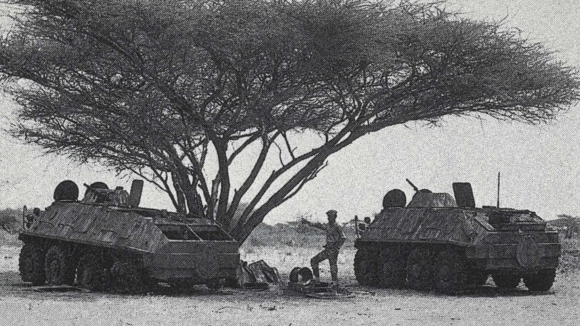 File:Ethiopian armored vehicles captured by the Somali army.jpg