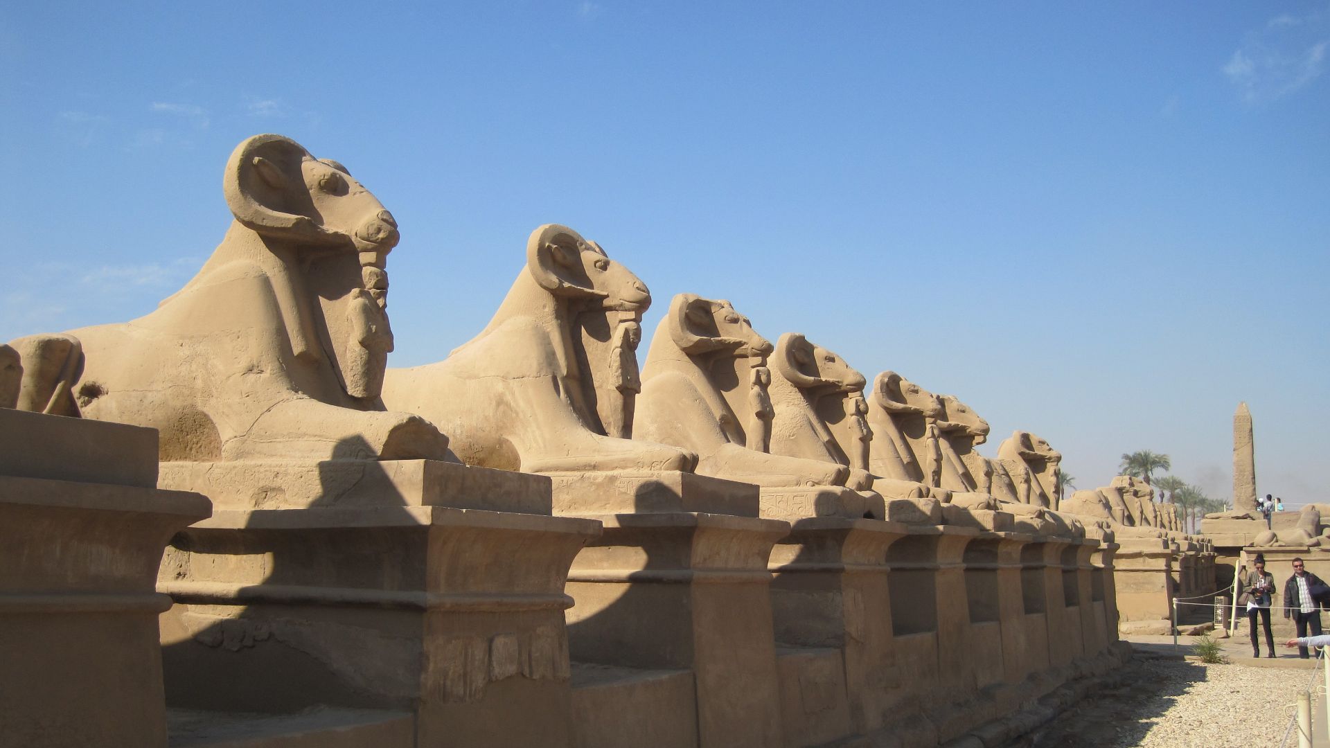 File:Avenue of Sphinxes - Karnak Temple - Luxor - panoramio.jpg
